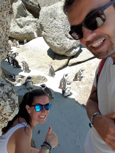 DÍA 5: CAPE TOWN - Sudáfrica y Seychelles 2018 - Una Honeymoon llena de vida (18)