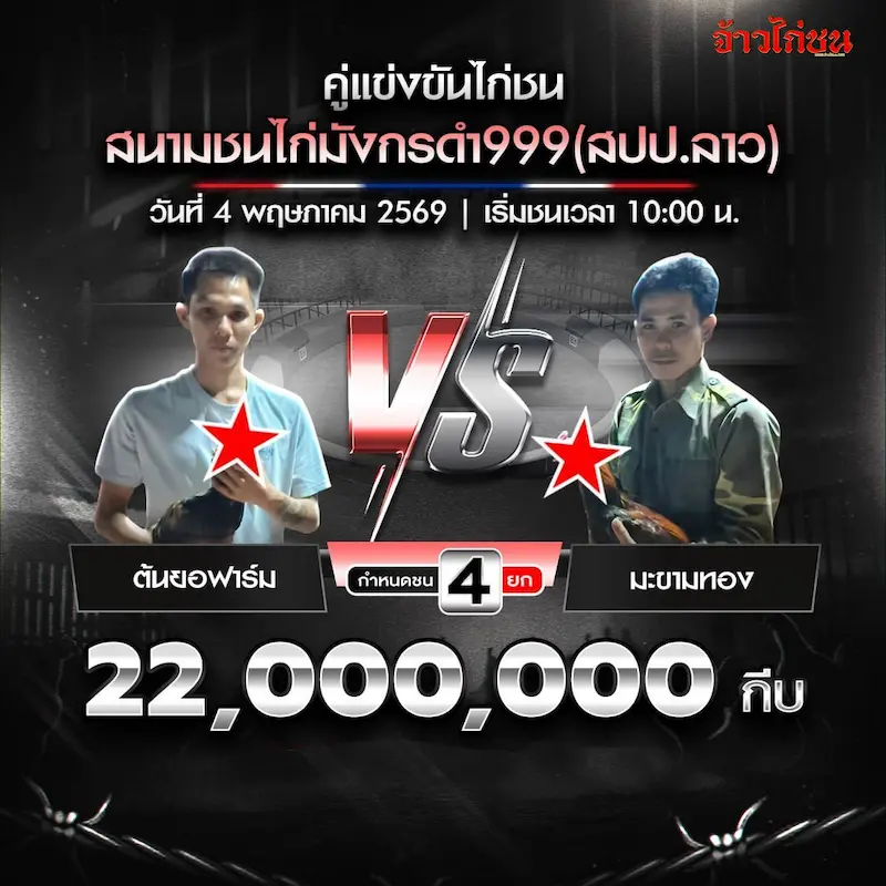 โปรแกรมไก่ชน สนามมังกรดำ999 วันที่ 4 พฤษภาคม 2569 คู่ ต้นยอฟาร์ม พบ มะขามทอง