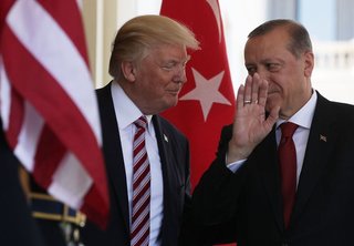 https://i.postimg.cc/J4x28Gjy/scale-1200.jpg