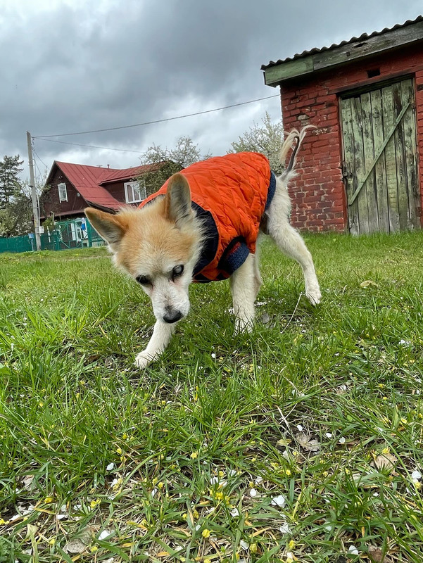 17336DD8-897A-494A-B9B9-2FD75CCE1D78