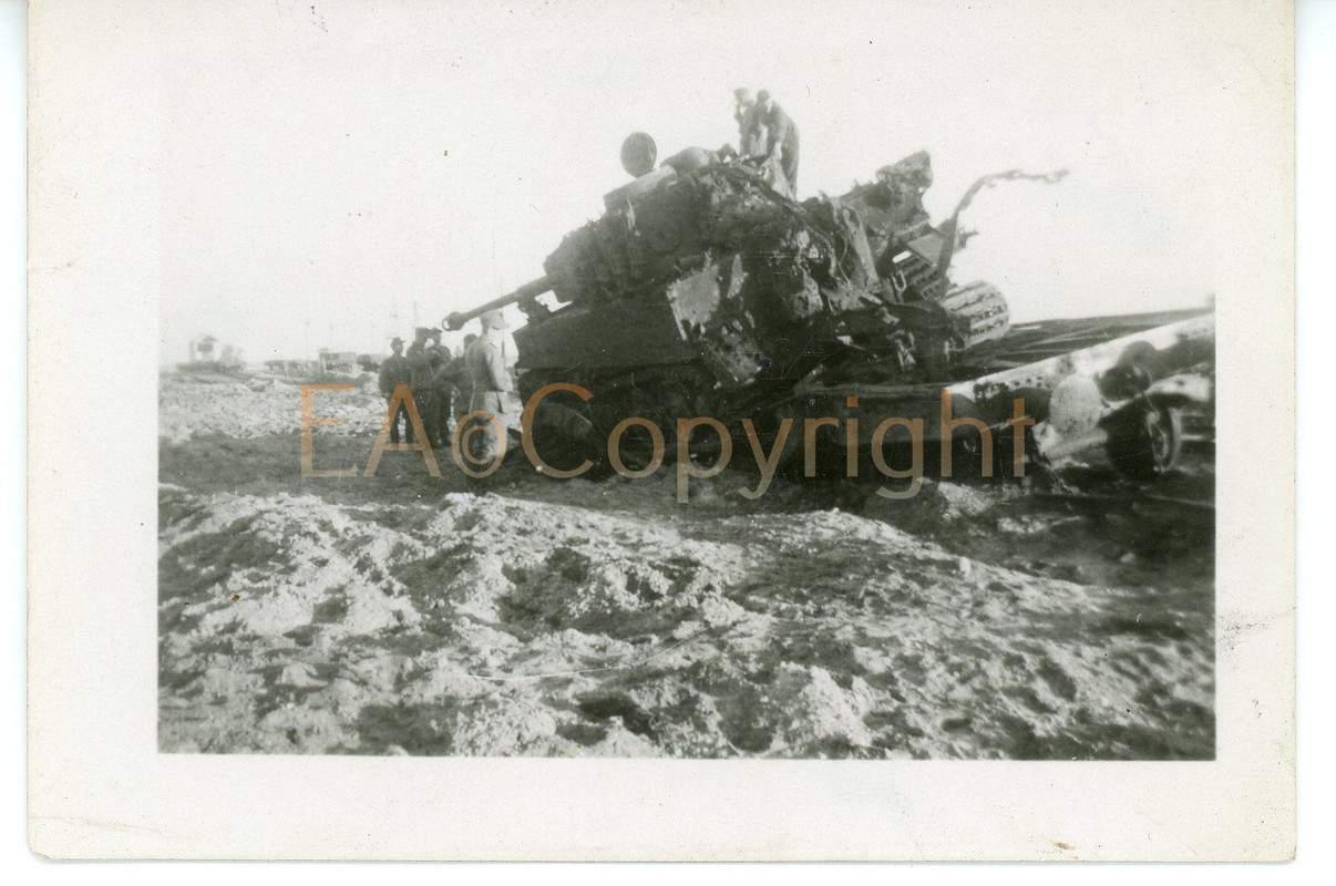 Tiger Kämpfe Panzer Tank Foto
