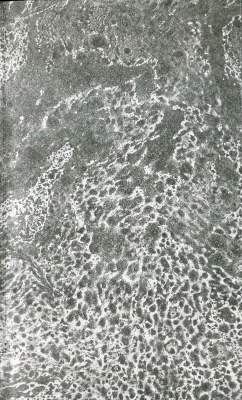 p0003