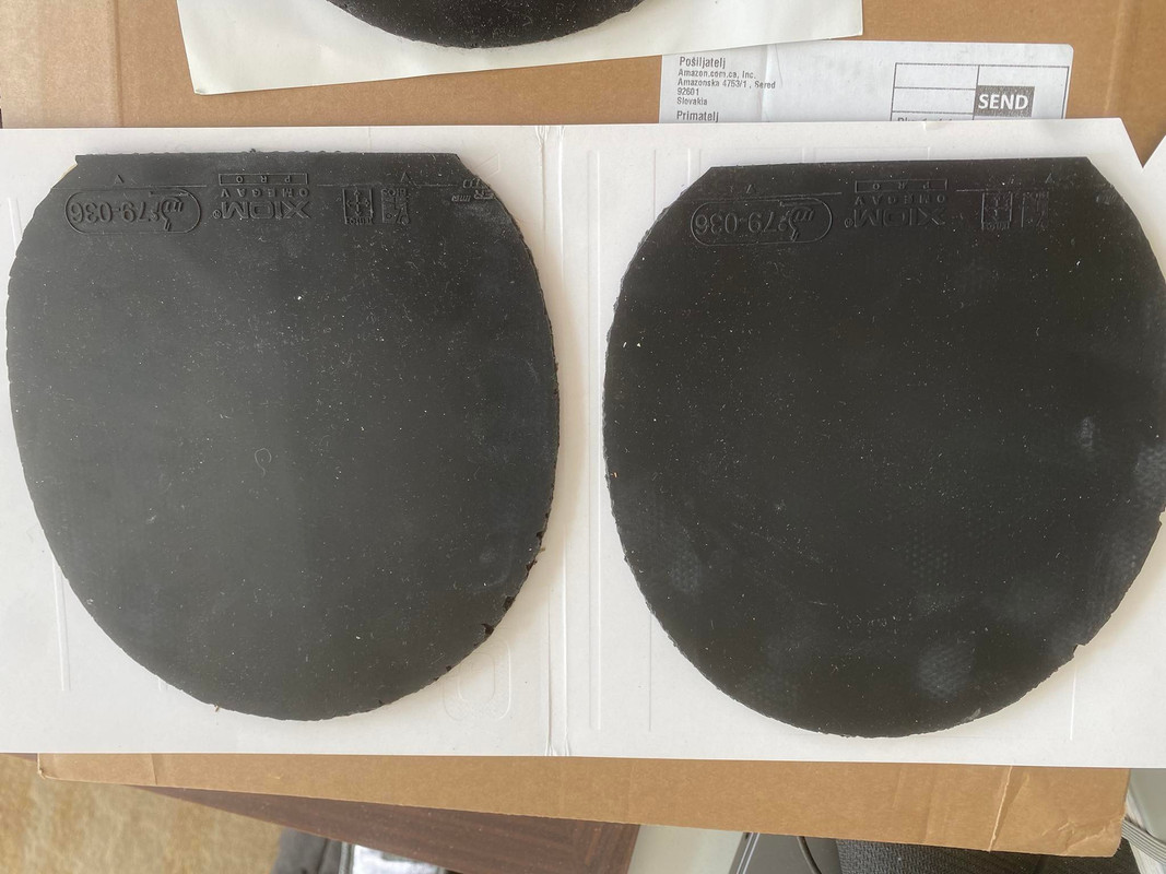 273832298_526906128771638_778918732318928543_n