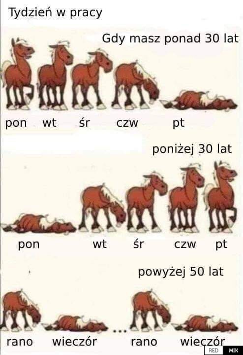 272691561-4999218283471260-8197048890332