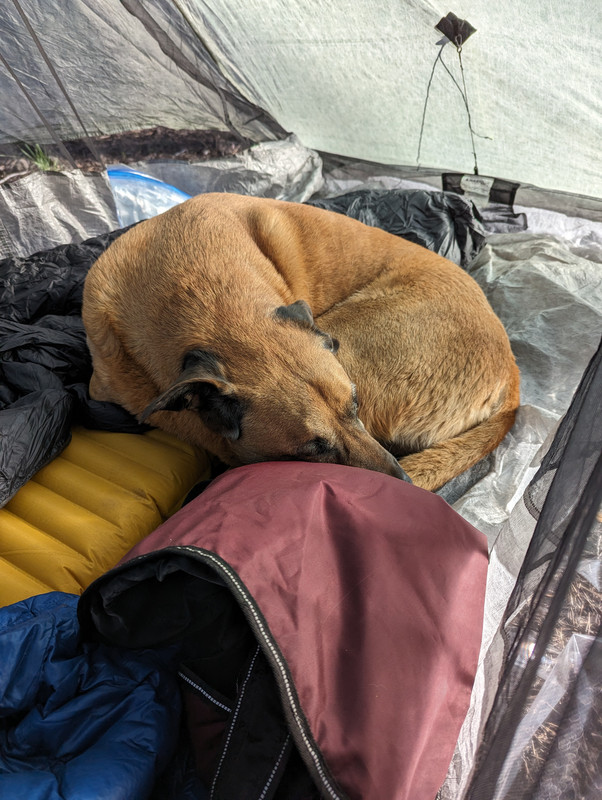 PXL_20250614_020422389