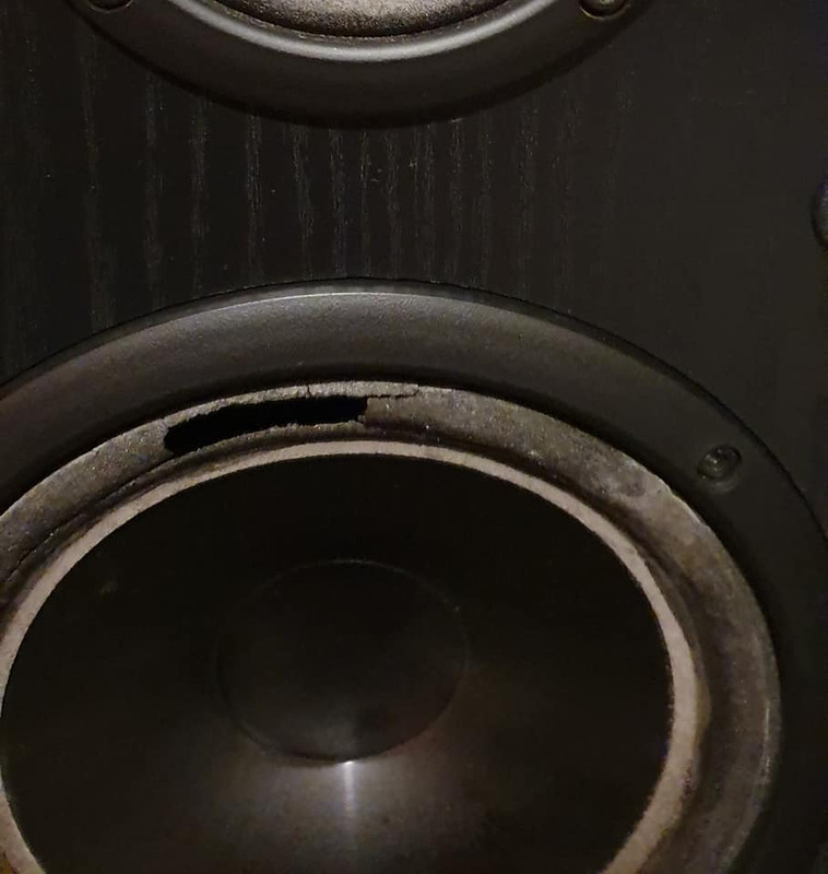 86842087_3143021199257027_7472345154817359872_n