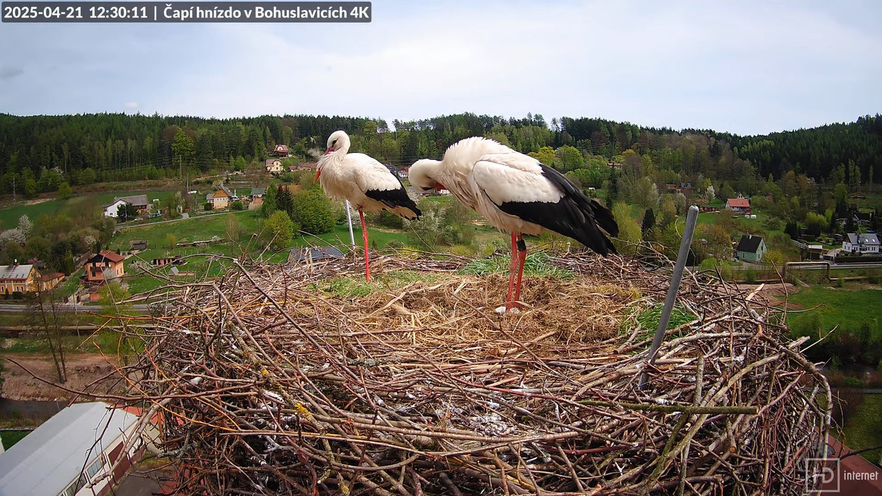 Živě z čapího komína firmy KARA v Bohuslavicích u Trutnova 7-28-19 screenshot
