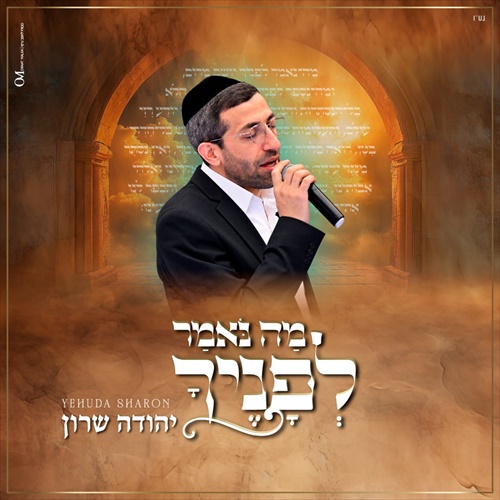 תמונה