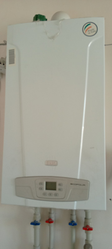 IMG_20241009_150746_555