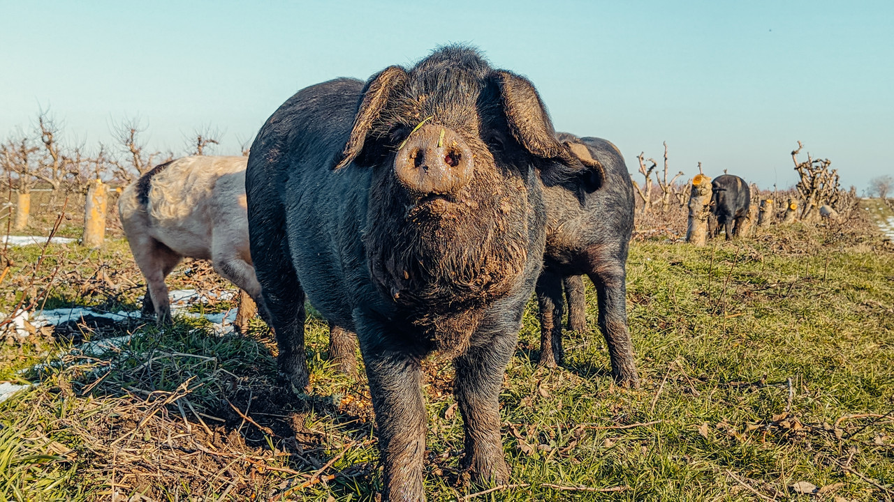 PXL_20241230_120943916.PORTRAIT.ORIGINAL (1)