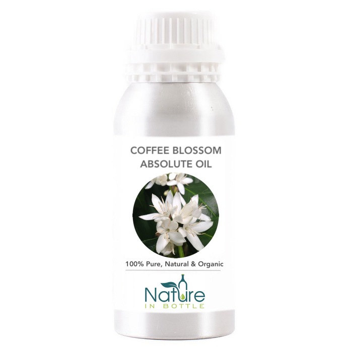 Coffee Blossom Absolute Coffea arabica Essential Oil