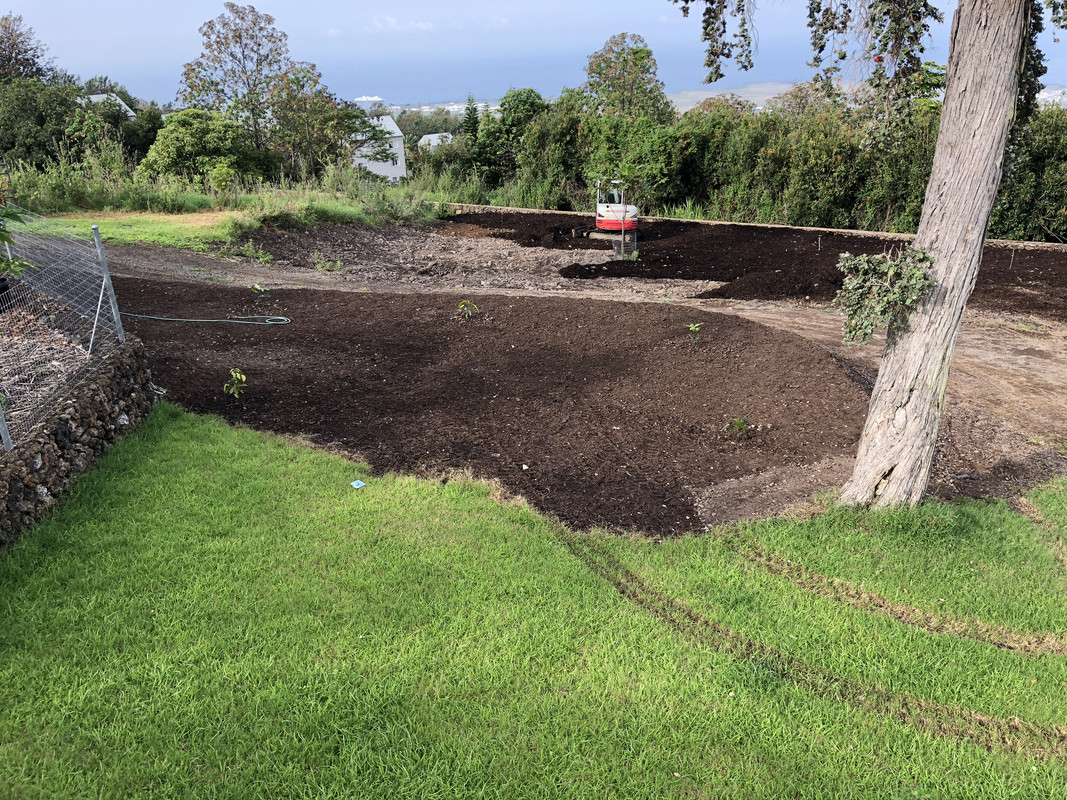 3AFB1252-2907-4539-8204-DA6BBAA39149