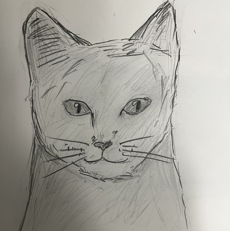 cat3