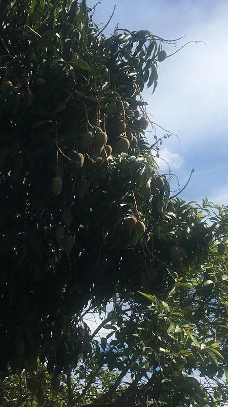 1DC315FC-D452-4E22-8350-0A0656A8D25D