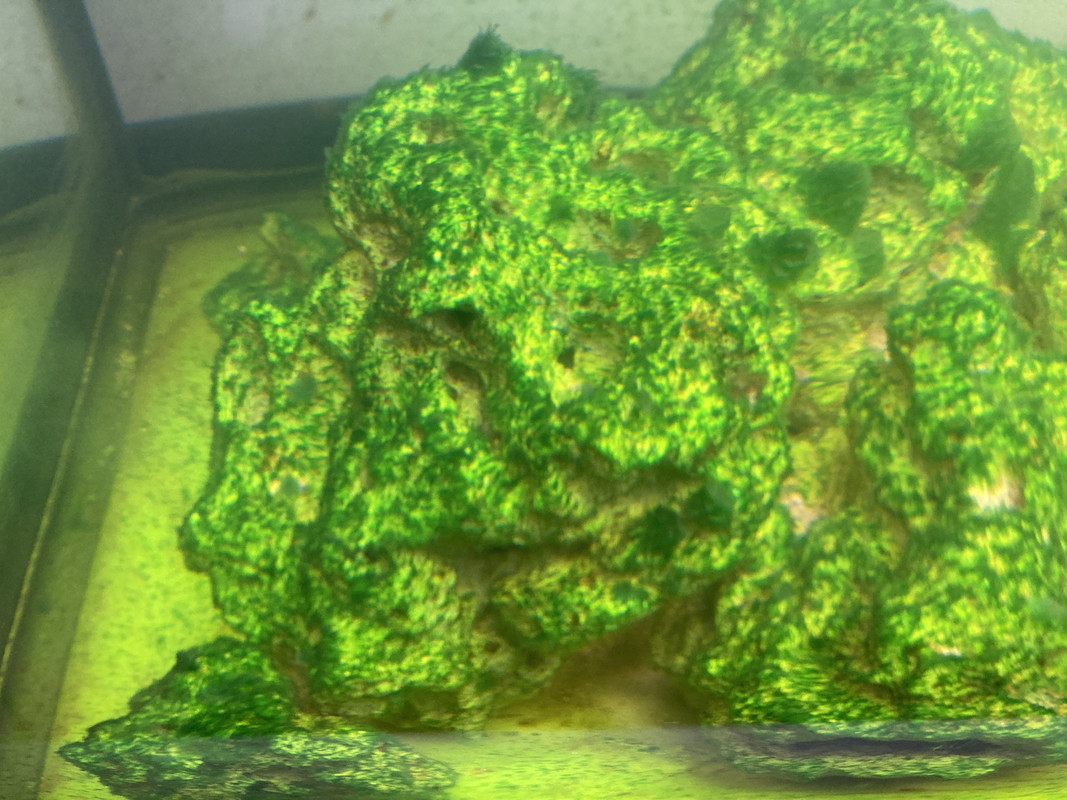 96E124E5-6795-4141-BB4D-F86EAB419701