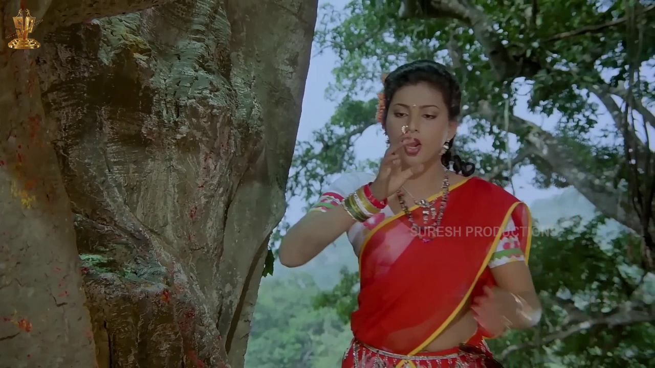 vlcsnap 2026 02 25 18h47m29s055