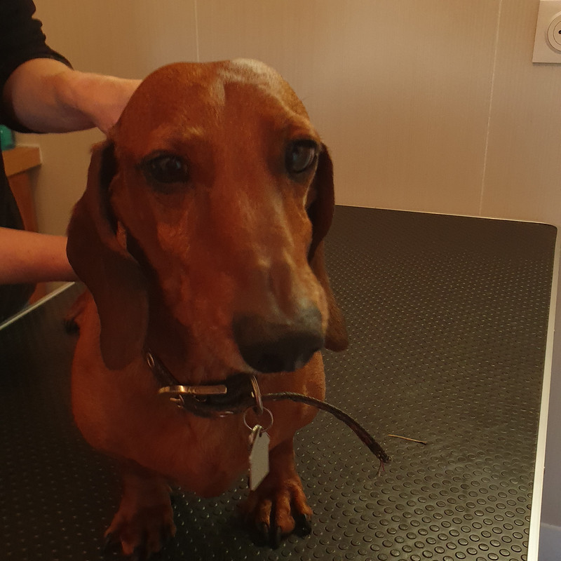 [Image: 20211103-153045.jpg]