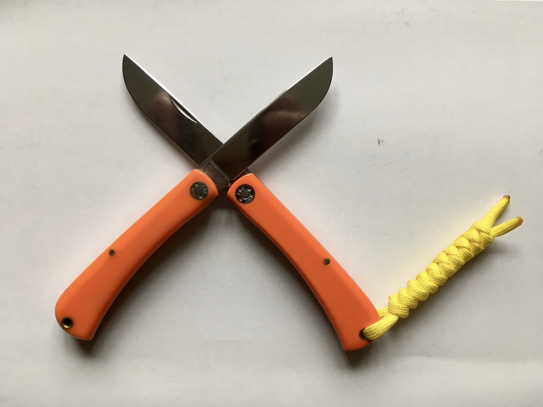 36951F11-1387-47C9-9FAA-A14E576C6E57