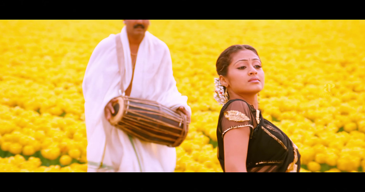 VideoCapture_20241122-195509