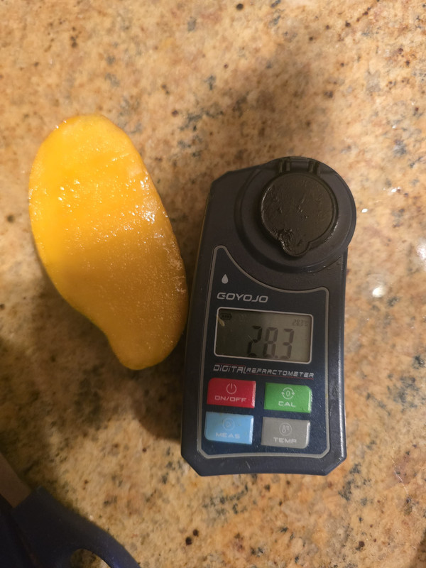 IMG 20260707 WA0036