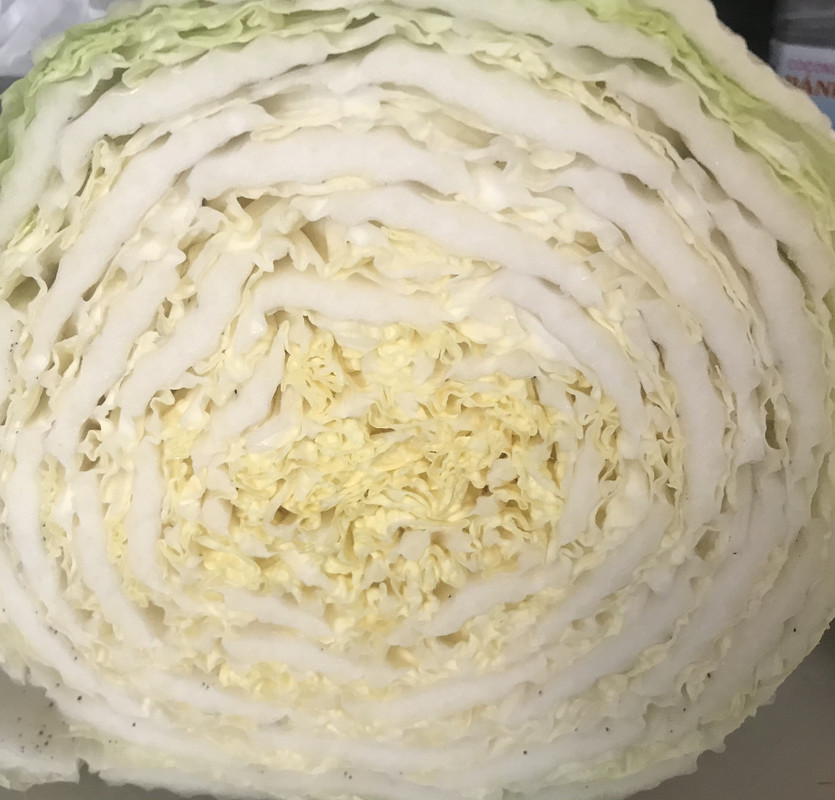 25CD69A1-F980-4871-B856-2731BBE4280C