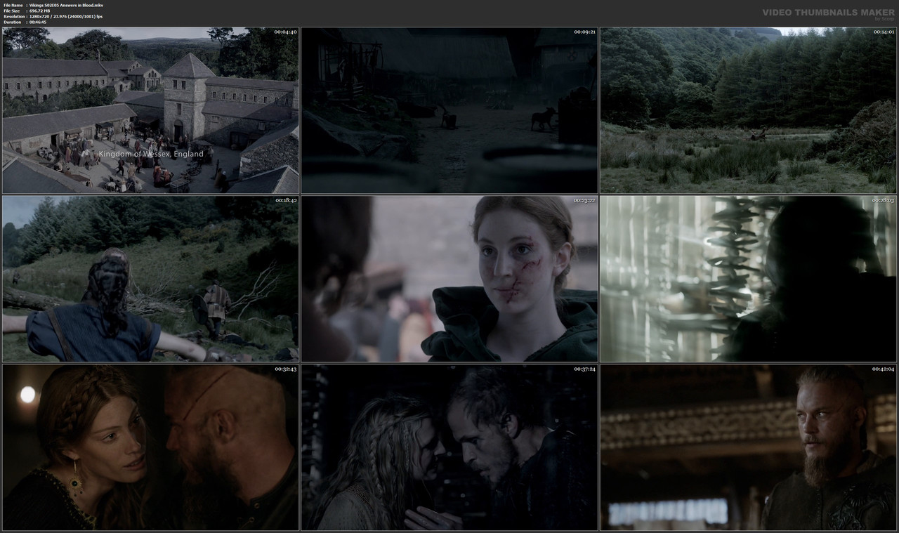 Vikings S02E05 Answers in Blood.mkv
