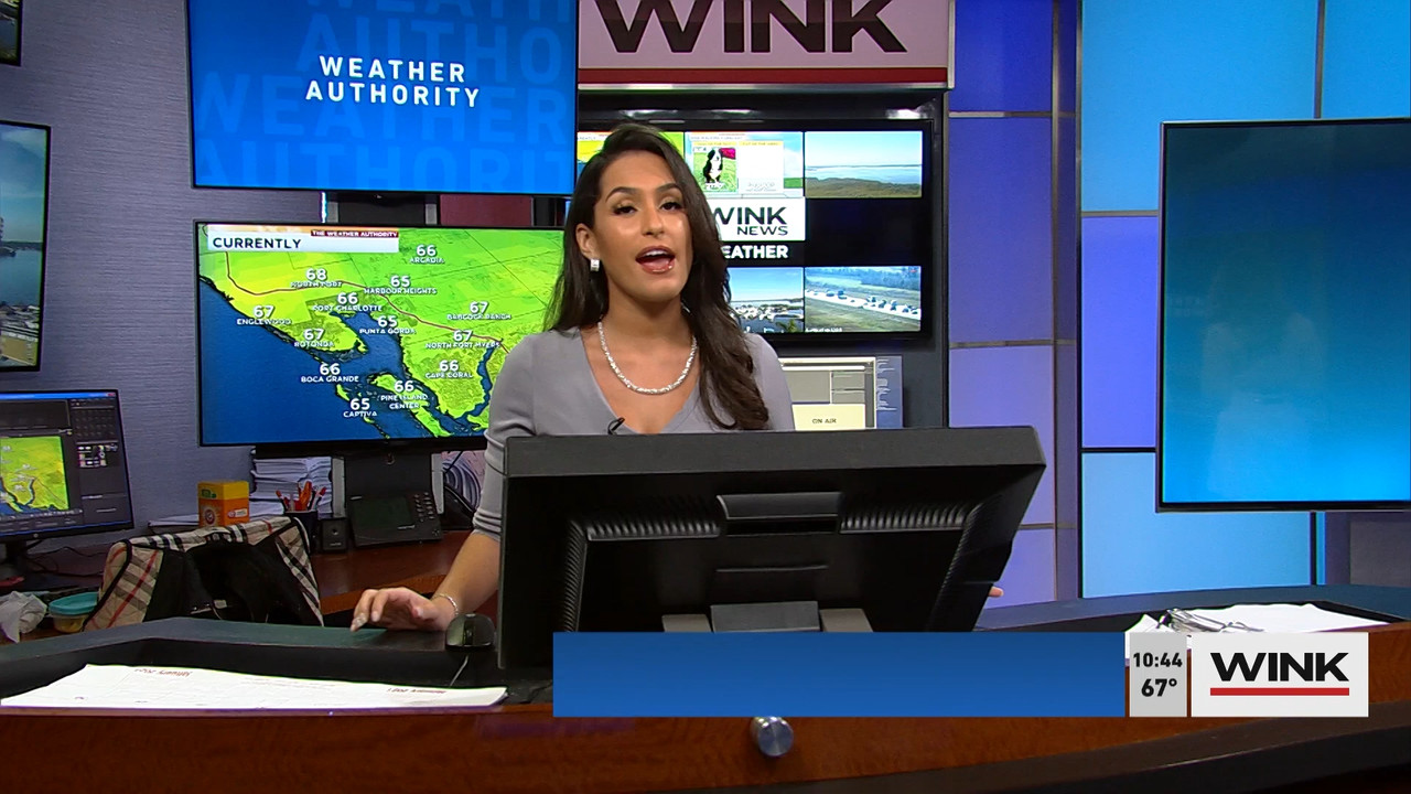 01.21 - 15.00.00 - WINK News at 10 00AM..ts_snapshot_00.50.05.713