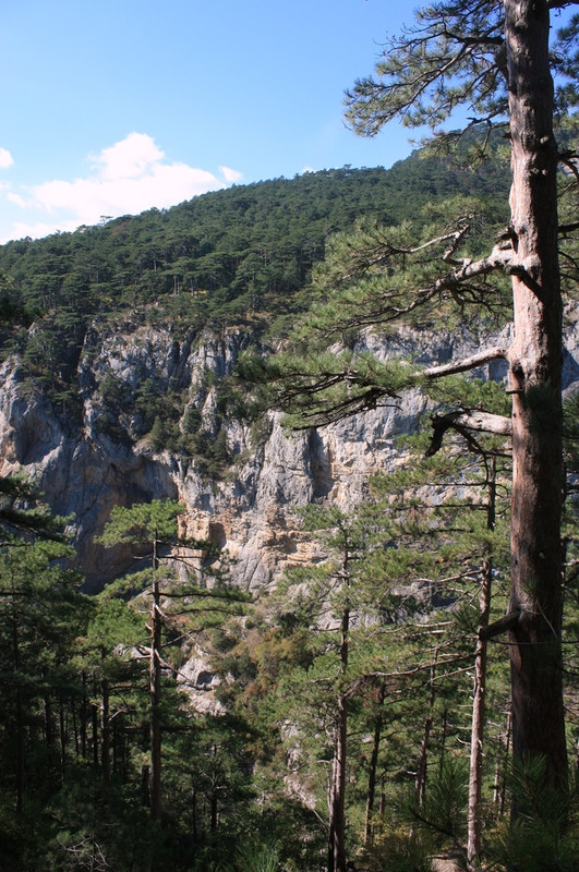 Изображение 1433