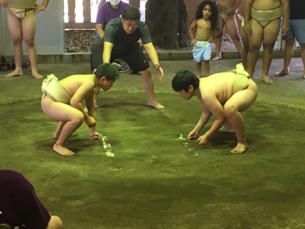 IMG-2295.jpg