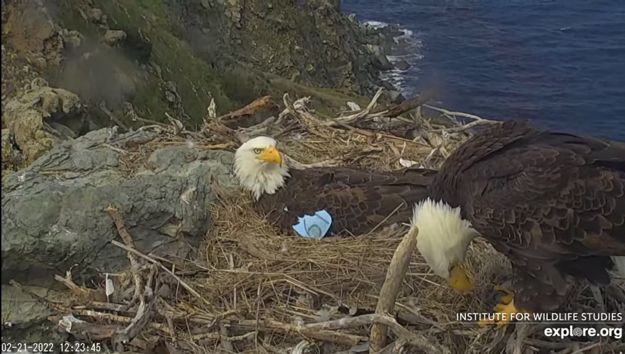 5976D6A6-B9F0-48F5-85E1-1365C241EC45