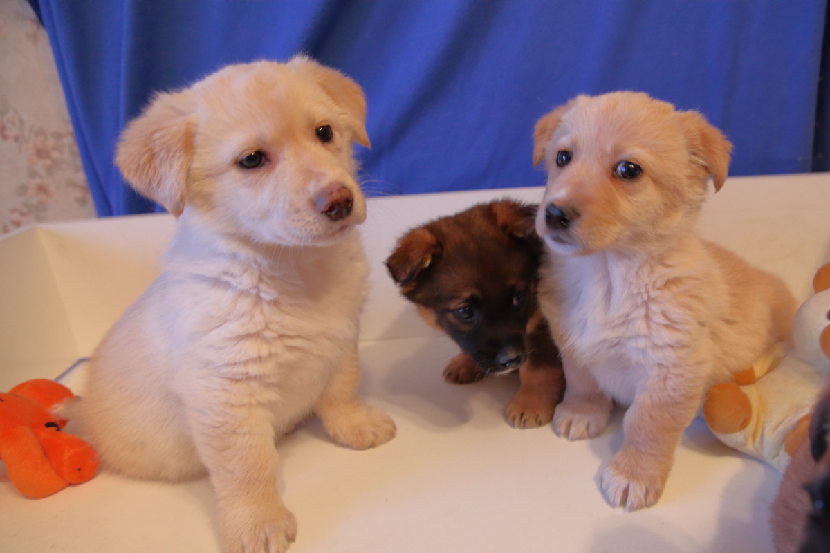 CEF13262-D7BD-4D09-9965-3B6B7C87BBE8