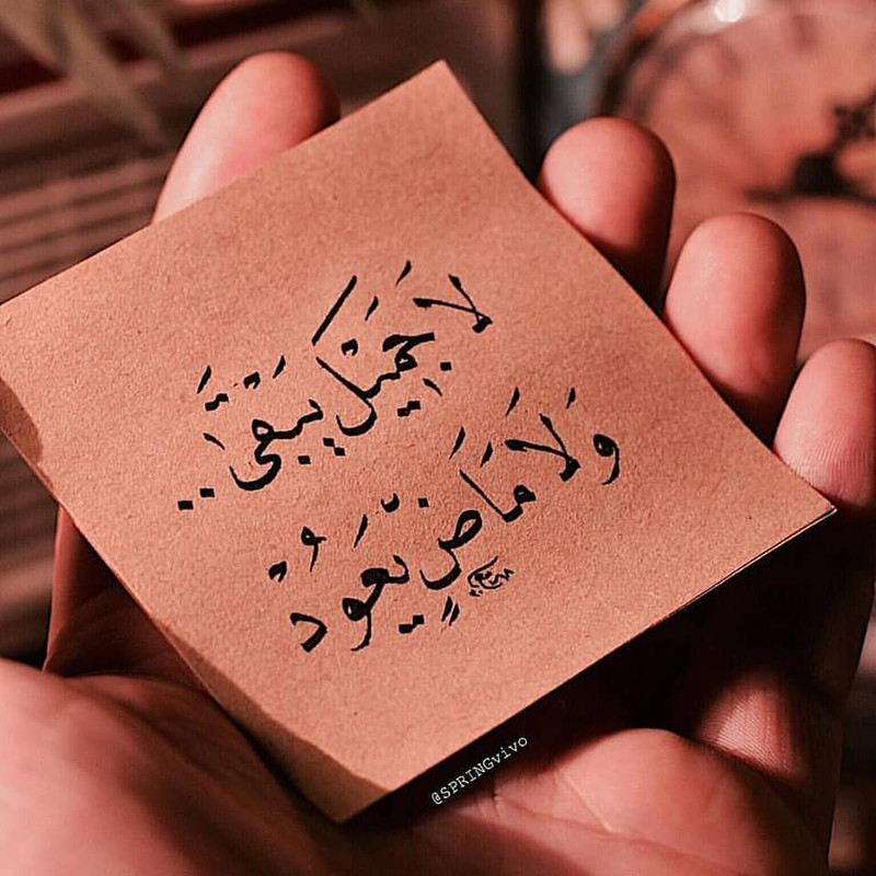 ���� ���� ������ �� ���� ������