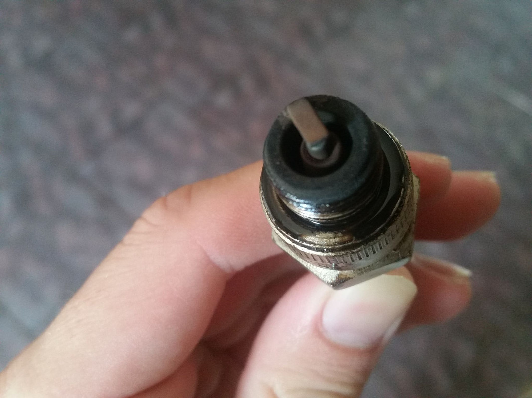 40131331_1871988146215386_8739288351686787072_n