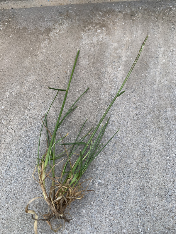 46F30AFE-5775-4857-B8A0-3AB6B3096936