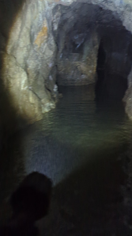 PXL_20230423_022739762~3 - frame at 0m3s