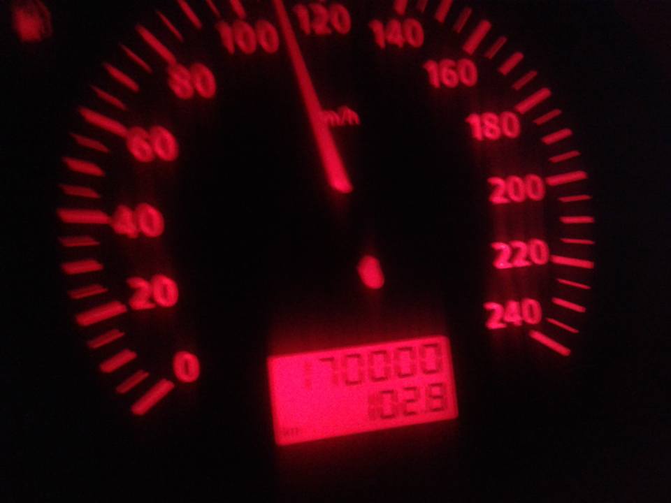 11220806_853353271415448_1708053098270330817_n