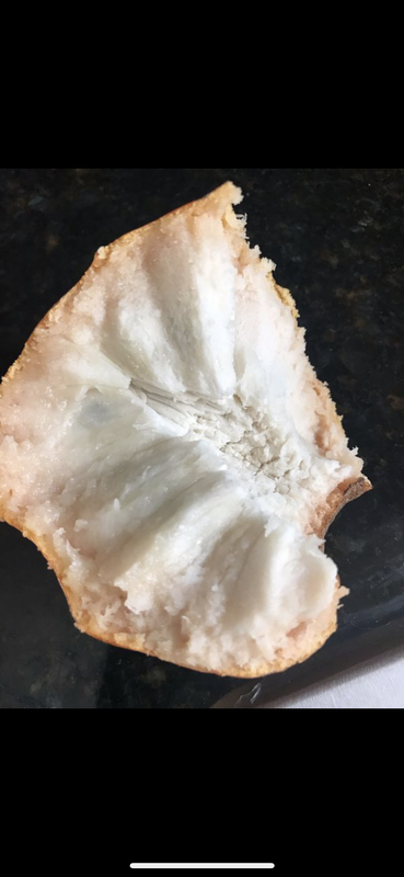 1C484833-AB41-4878-8D08-440C9F84B384