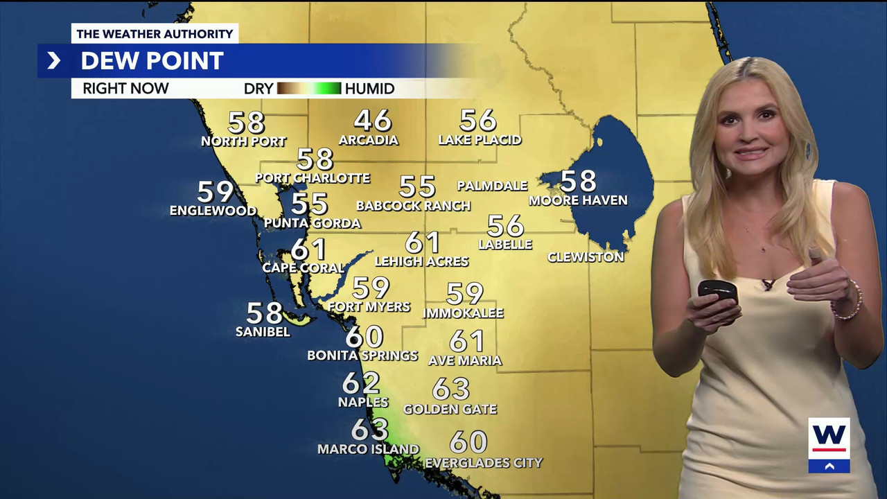 04.15 - 04.00.01 - WINK Weekend News at 11PM Sunday  ᴺᵉʷ..ts_snapshot_00.52.37.754