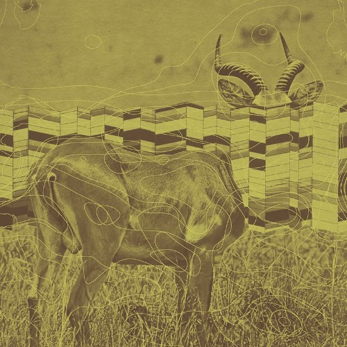 Cervo - Pescaia II (2026) MP3