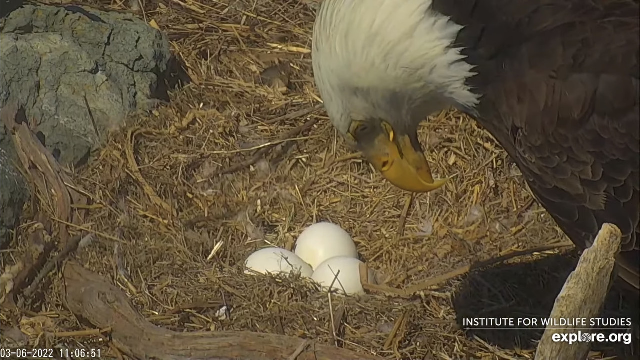 BD9E7BF5-3801-428E-9C68-4B9B46ED8A9F