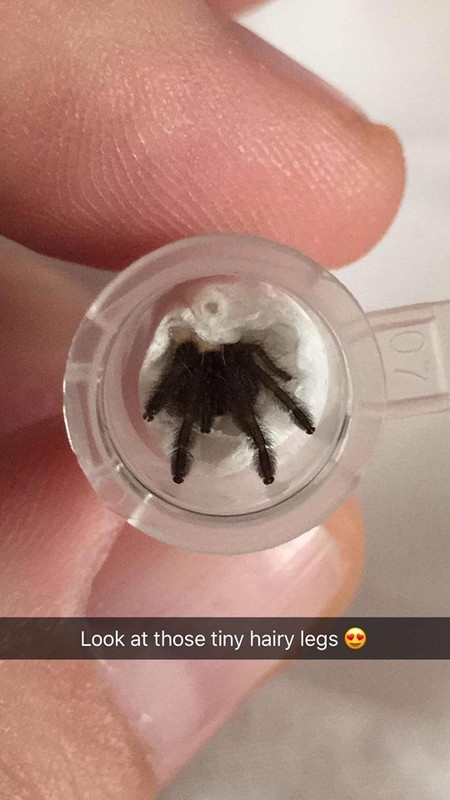 22449751_10159541699735602_3496217357601925344_n