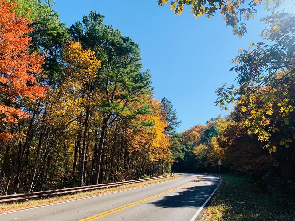 E39BAA01-0600-43F8-89FA-77C8921855FF