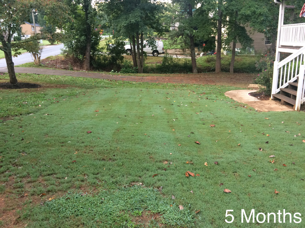 B711A3D6-6CCF-4643-9B12-3FD413AC009B