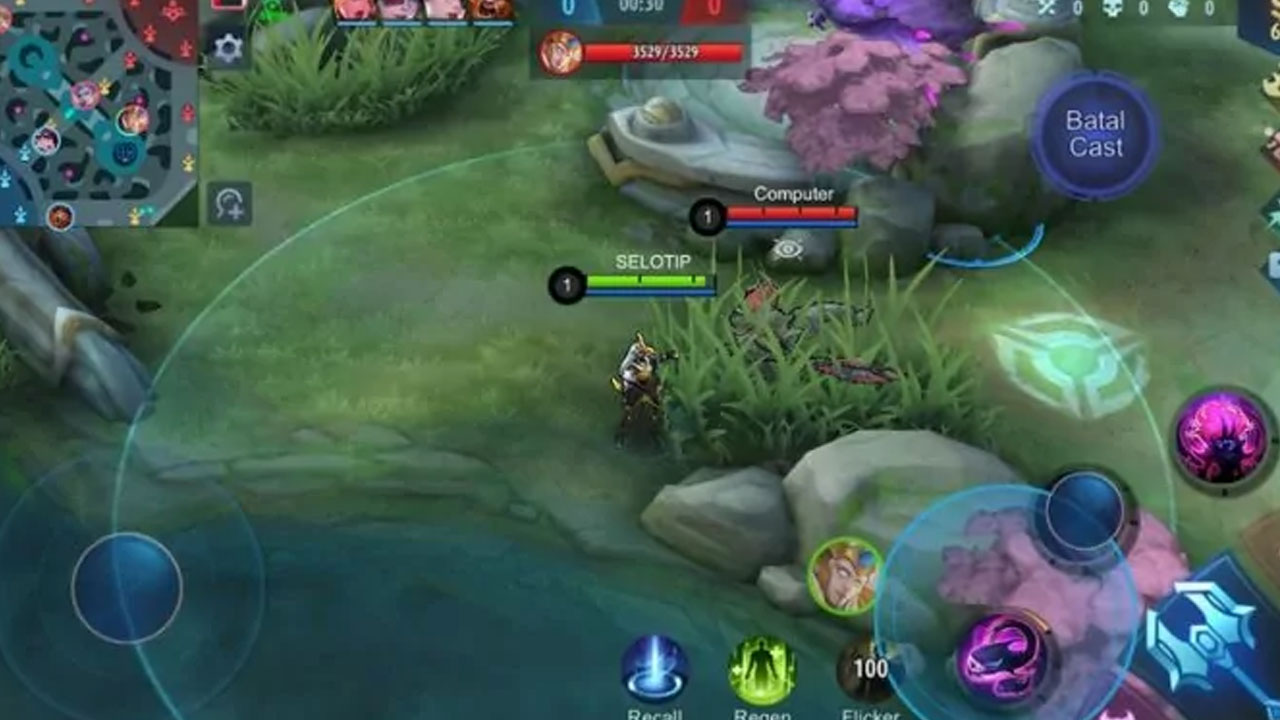 Manfaatkan Vision dan Map Control