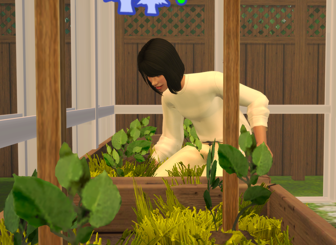 Sims2-EP9-RPC-2024-09-29-17-49-02-14