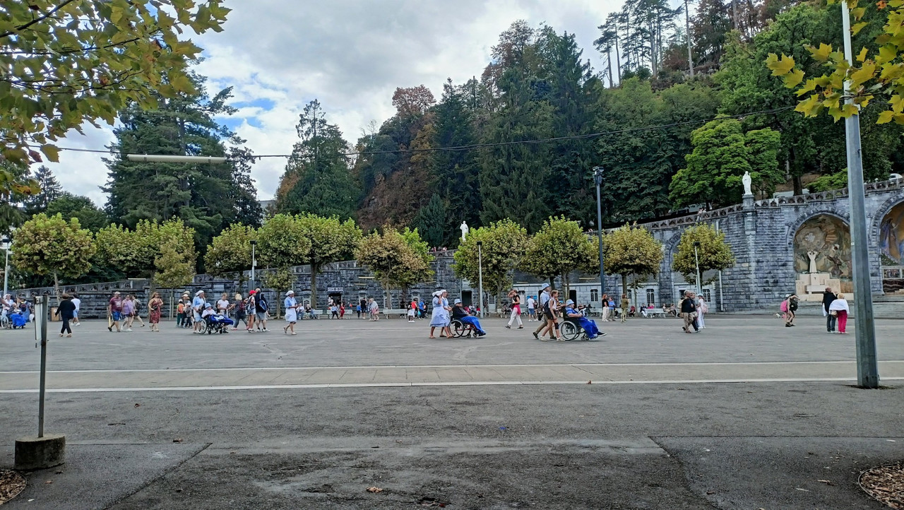 IMG20250820150659 (Large)