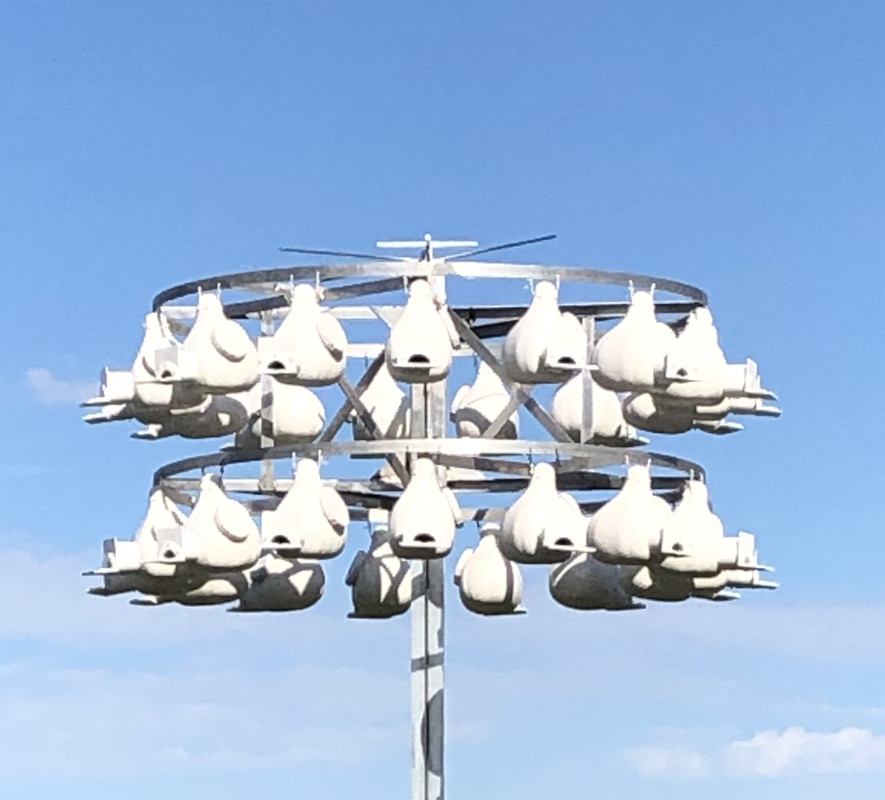 8D9BE18A-FE44-489B-B300-6199CE0F612A