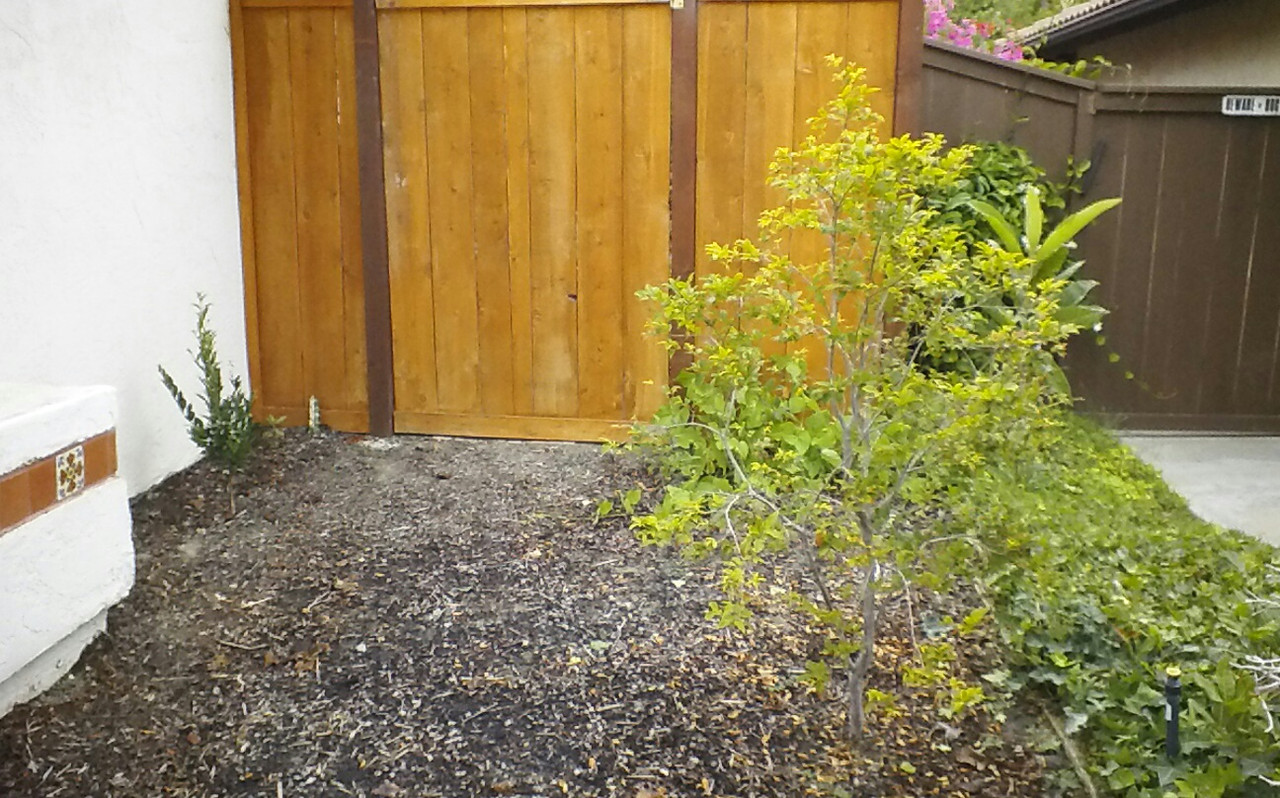 KINDLE_CAMERA_1404126132000