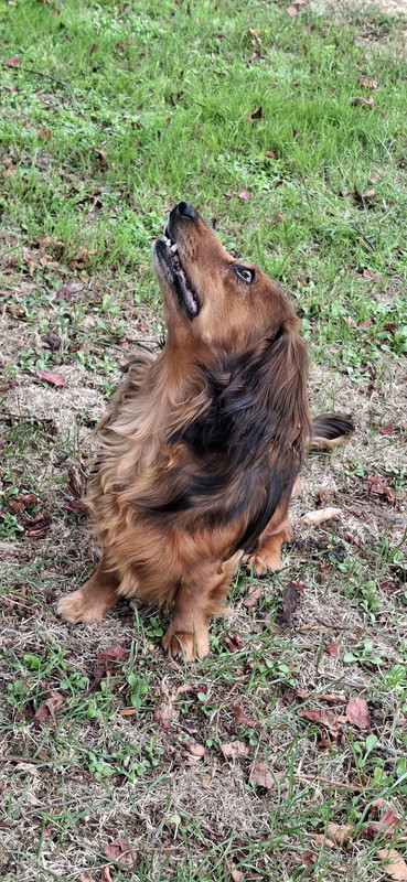 [Image: 1000023931.jpg]