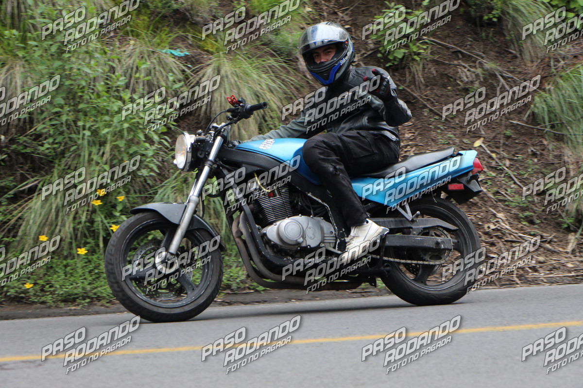 IMG 3783 wm 3318022 5 watermarked — Postimages